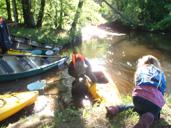 Ufer Anlanden Örtze